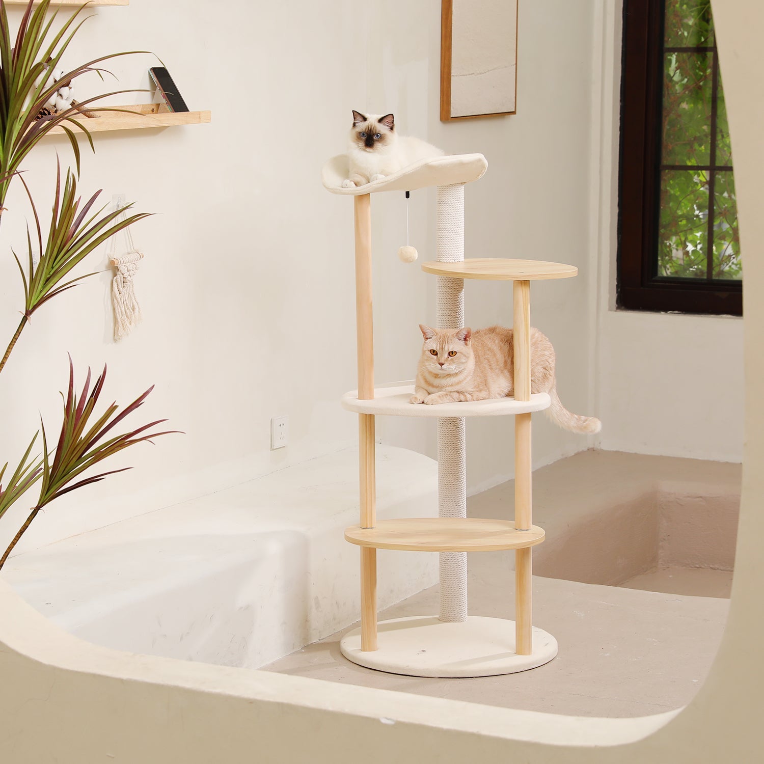 Pawzzoo overlooking Wooden 5-Level Indoor Cat Tower